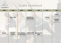 Vinyasa (Saturday)